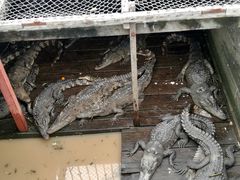 -洞里萨湖