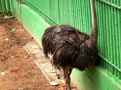 -西霞口神雕山野生动物世界