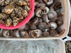 -沈家门小海鲜