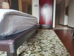 -上海崇明金茂凯悦酒店