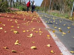 -上海长兴岛郊野公园
