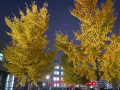 -中国石油大学（北京）(北京西校区)