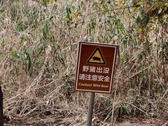 -合肥滨湖国家森林公园