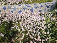 -石家庄市植物园