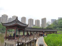 -龙头寺公园