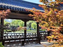 -江心屿景区