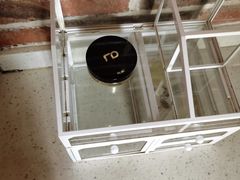 -77号渔船·蒸海鲜青岛菜(积米崖店)