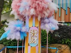 -海合安成都极地海洋公园