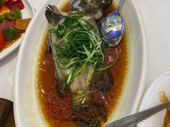清蒸石斑鱼-金翠皇宫粤菜·点心·海鲜(科技园店)