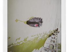 -黄龙溪欢乐田园