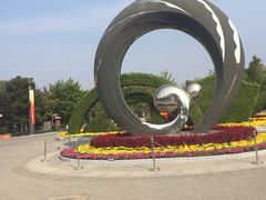 -大兴滨河森林公园