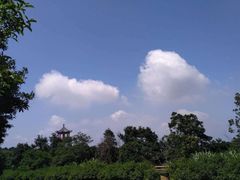 -梧桐山风景名胜区