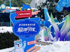 -海合安武汉极地海洋公园