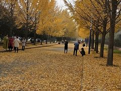 -西北农林科技大学(北校区)