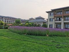 -秦皇岛阿尔卡迪亚滨海度假酒店