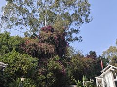 -三门江国家森林公园