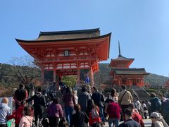 -有栖山 清光院 清水寺