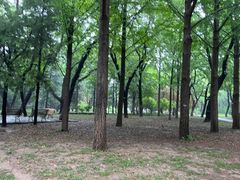 -清华大学-甲所餐厅