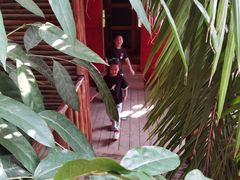 -呀路古热带植物园