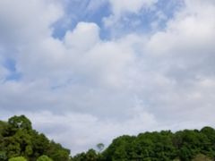 -广州市帽峰山景区