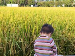 -低涌(地铁站)