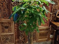 -小天厨民间菜馆(深圳街店)
