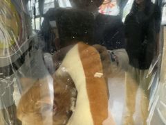 -半岛宠物医院24小时(西派城店)