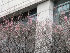 -上海市第十人民医院(总院)