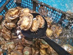 活鲍鱼-阳光岛·海鲜盛宴(银泰中心in99店)