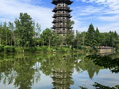 -洋湖国家湿地公园