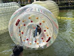 -朝阳公园游乐园