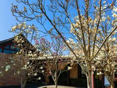 -丽江悦榕庄酒店-明月·雪山庭院餐厅