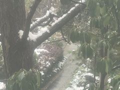 -郑和公园