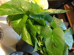 -煲宫猪肚鸡(晶品店)