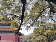 -沈阳市东陵公园