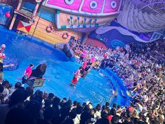 -烟台海昌鲸鲨海洋公园