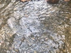 -碓臼峪自然风景区