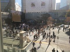 -涩谷区