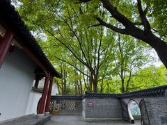 -南汇桃花村