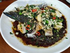 -全乐鱼馆·淳牌有机鱼直营店