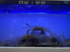 -蟹状元大闸蟹·年货·粽子(成都成华店)