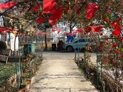 -大莲湖农家乐(青西郊野公园店)