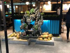 -东椰·海南椰子鸡火锅(朝阳门店)