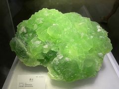 -湖南省地质博物馆