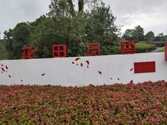 -铁山坪森林公园