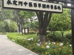 -绿堤公园