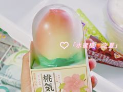 -盛华冷饮雪糕批发部
