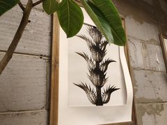 -Wood Garden(合生汇店)