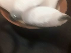 -利姐牧牛匠老火锅(兰花店)