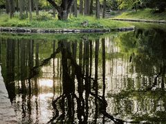 -上海共青森林公园